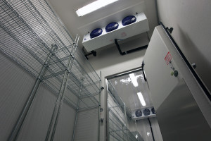 Холодильные камеры